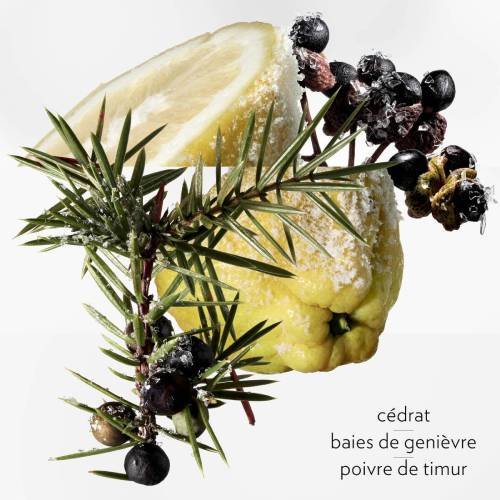 HERMÈS Terre d'Hermès Eau Givrée - Eau de Parfum 3346130012245 HERMÈS Terre d'Hermès Eau Givrée - Eau de Parfum 3346130012245